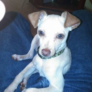 Meet your Posher, Robert